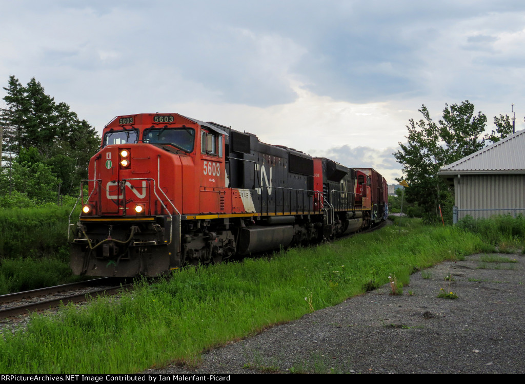 CN 5603 2